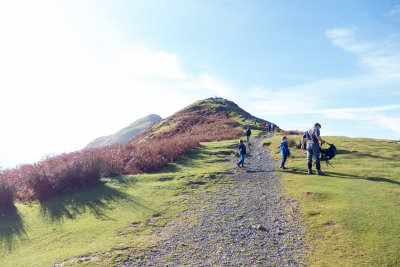 Lots of kids on the Cat Bells path
