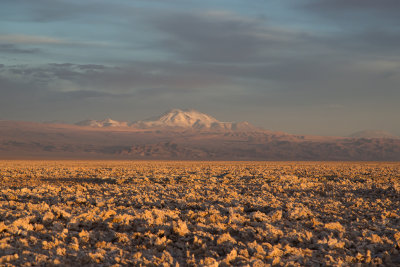 Sunset colours in the Salar de Atacama, Chile