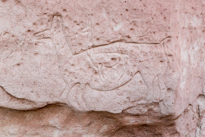 Petroglyphs in the Atacama