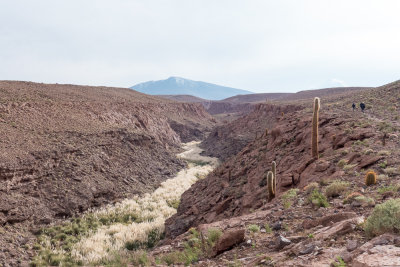 Rio Puritama Canyon, Atacama