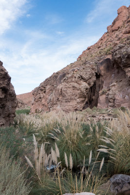 Rio Puritama Canyon, Atacama