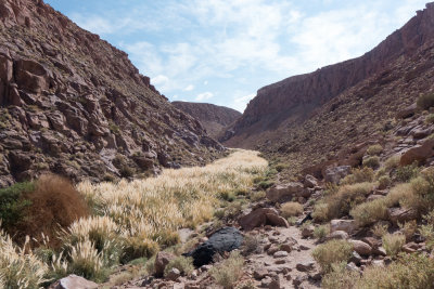 Rio Puritama Canyon, Atacama