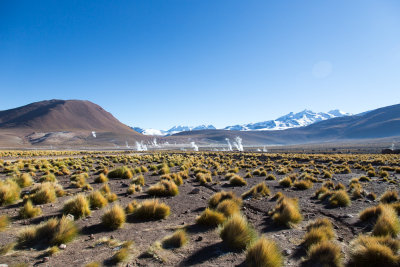 Tatio Geysers, Atacama