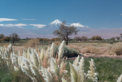 Lincancabur volcano, from San Pedro de Atacama