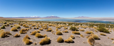 Salar de Tara, Chilean Andes