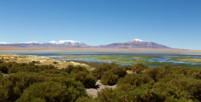 Salar de Tara, Chilean Andes