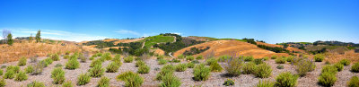 pano view from Law winery.jpg