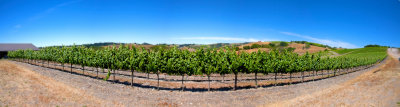 pano view from Calcarous winery.jpg