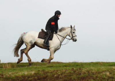 Hawick Common Riding 2014 - Bonchester Rideout - May 10th - Birneyknowe