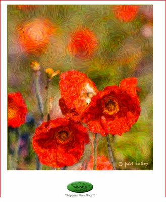 Winner  Poppies Van Gogh.jpg