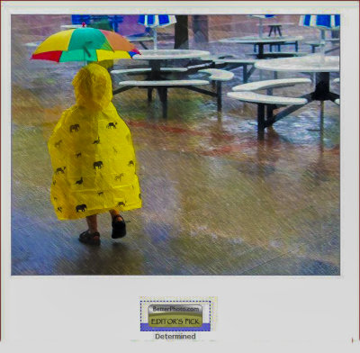 Determined   zoo rain.jpg