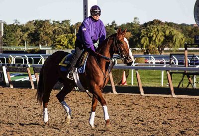 Horse Belmont Race Track