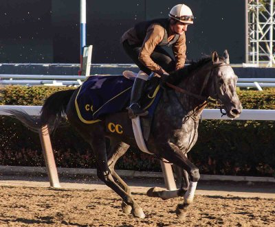 Horse Belmont Race Track