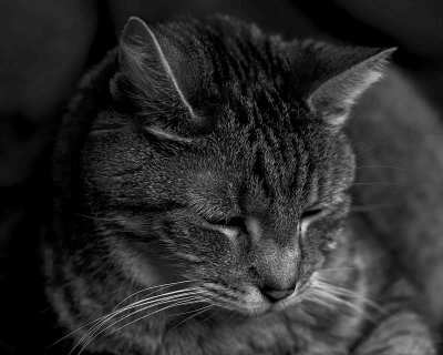 B & W Tig