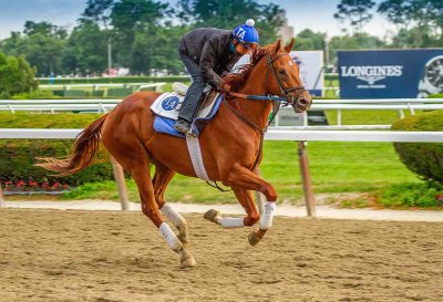 belmont  4