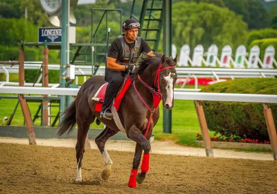 belmont 5