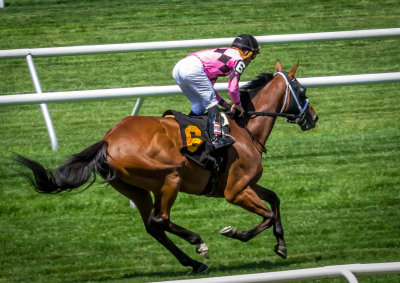 Belmont