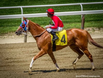 Belmont