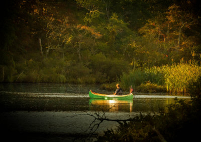 Summer on Long Island 2.jpg