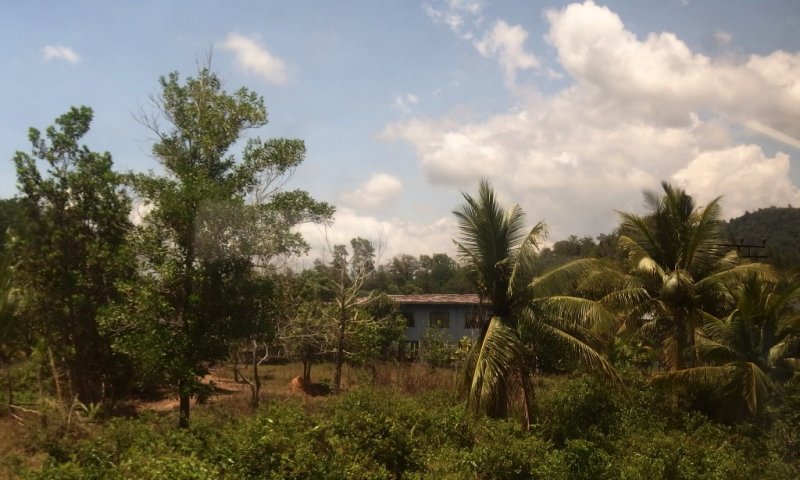 House beside railway line