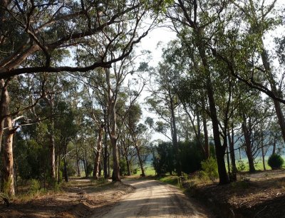 Yarram-Blackwarry Road