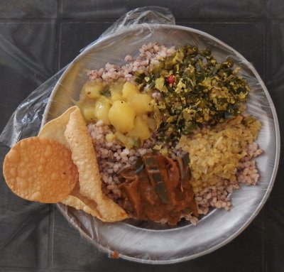 Vegetarian curry and rice, Point Pedro