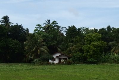 House and paddy field
