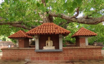 Budda statue