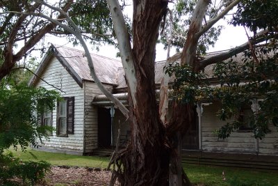 House beside road