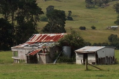 Ruined shed seen from road