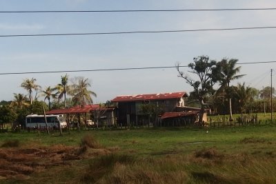 Houses beside railway line