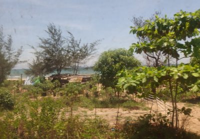 Sea and coastal vegetation near railway line