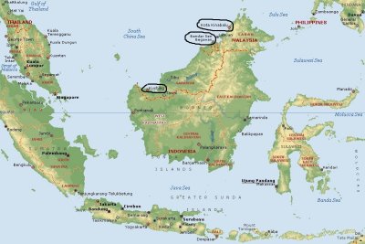 Borneo 2015
