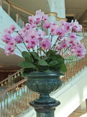 Empire Hotel, orchids
