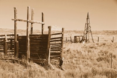 Cattle chute south of Westcliff