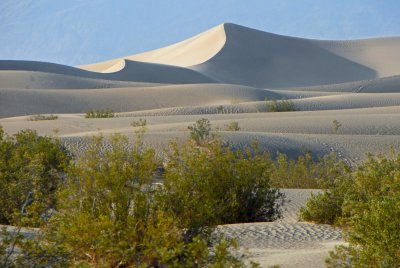 Death Valley - Sand Dune