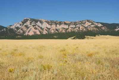 DSC_0262c.jpg