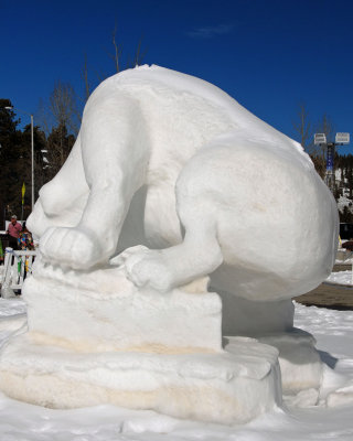 DSC_0876c.jpg