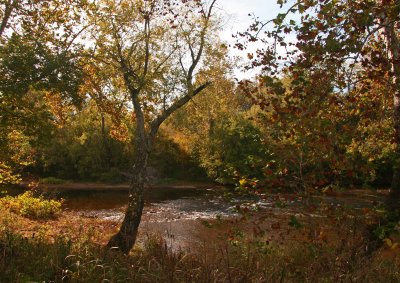 Shenandoah River, Clarke County 