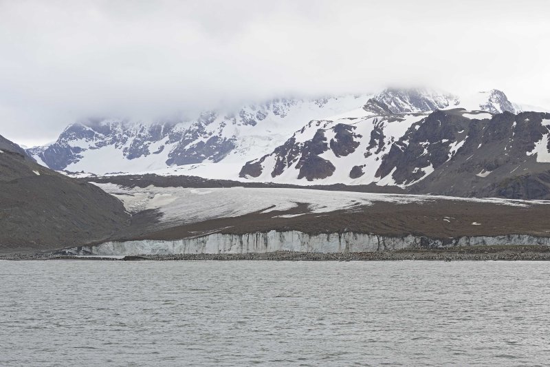 Cook Glacier