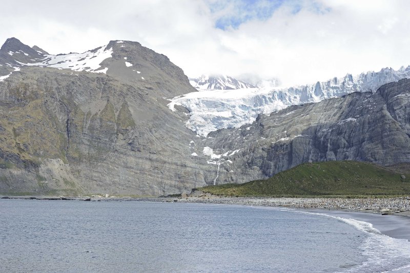 Bertrab Glacier and King Penguin Colony