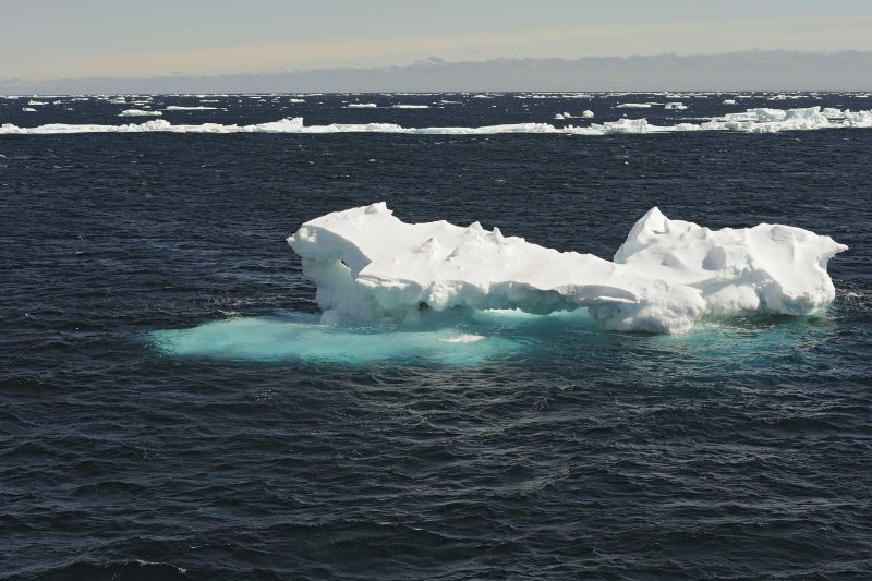 Sea Ice in the Bransfield Strait