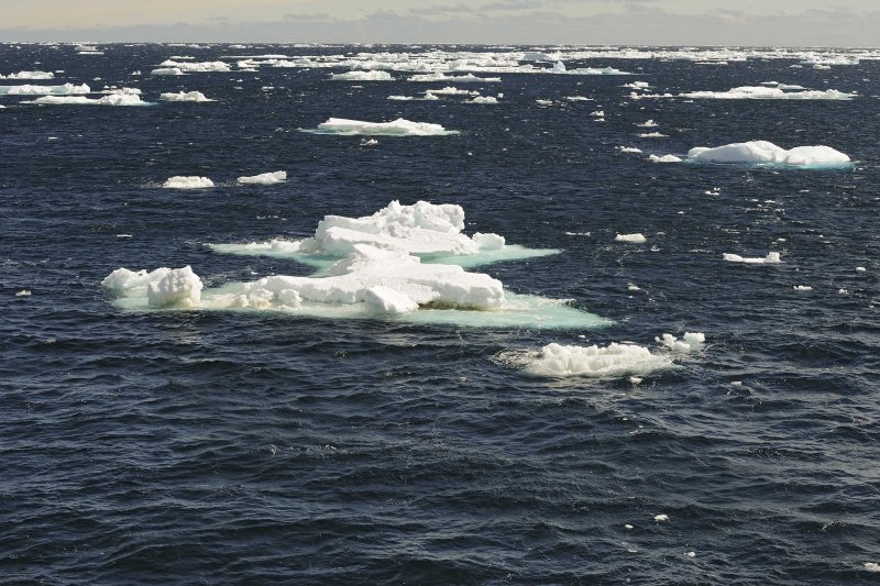 Sea Ice in the Bransfield Strait