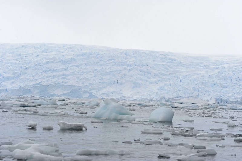 Glacier in Cerva Cove