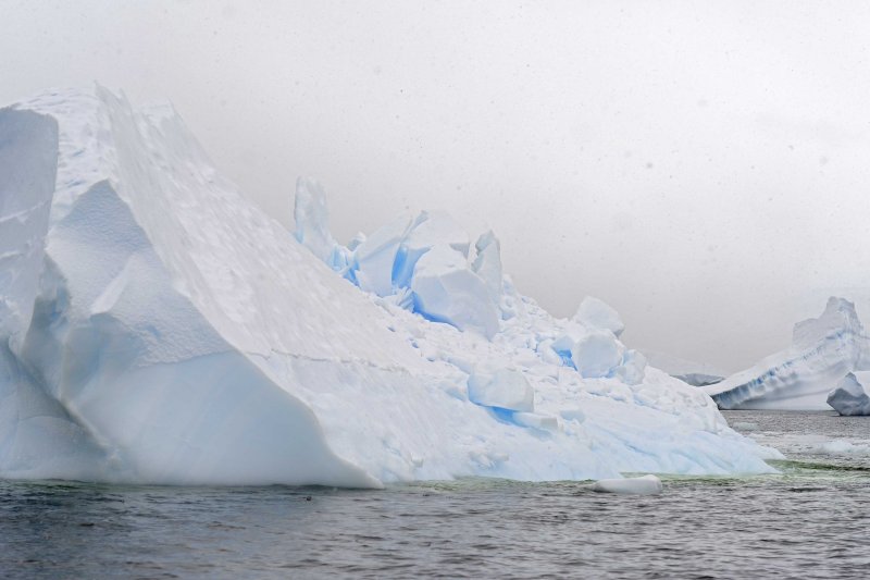Iceberg in Cerva Cove