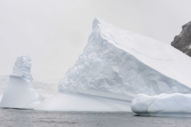 Iceberg in Cerva Cove