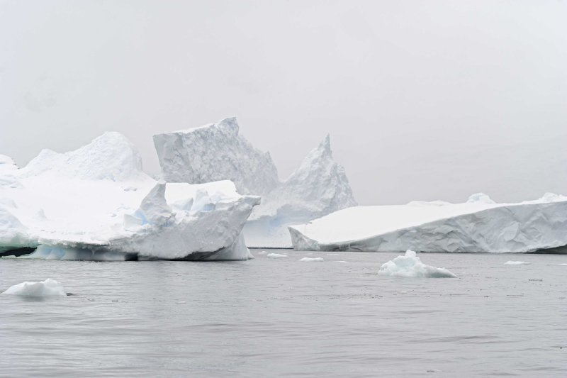 Multiple Large Icebergs
