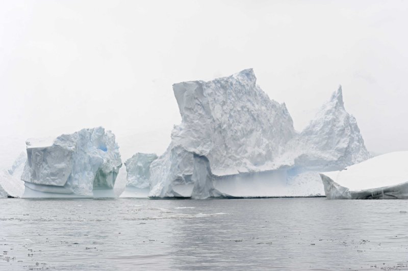 Multiple Large Icebergs