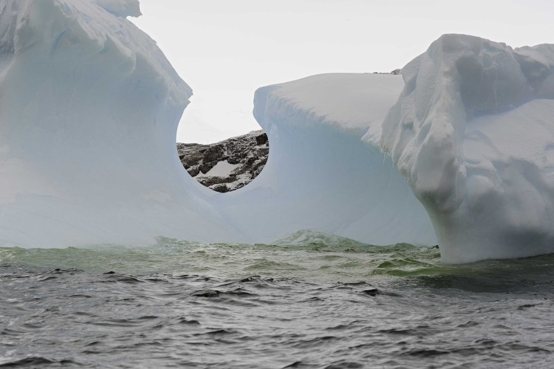 Zodiac Cruise of Cerva Cove on the Antarctic Peninsula