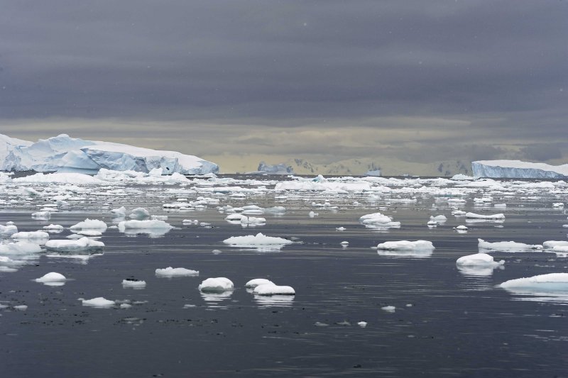 Icebergs in the distance towards the Bransfield Strait Entrance